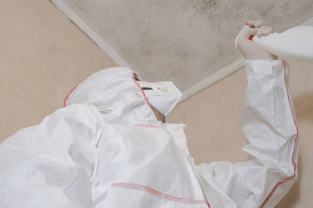Best Fast Mold Removal  in Wetumpka, AL