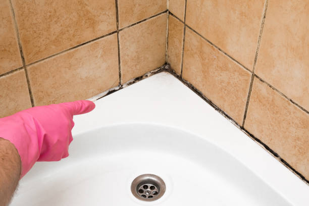 Best Local Mold Removal Service  in Wetumpka, AL